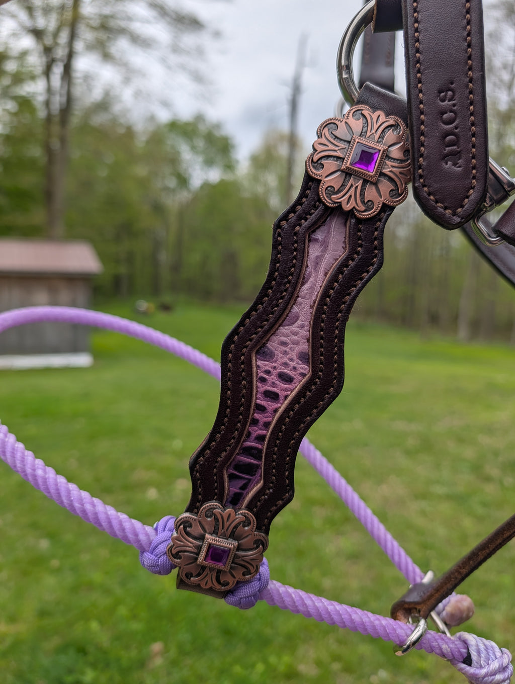 Hybrid halter average horse