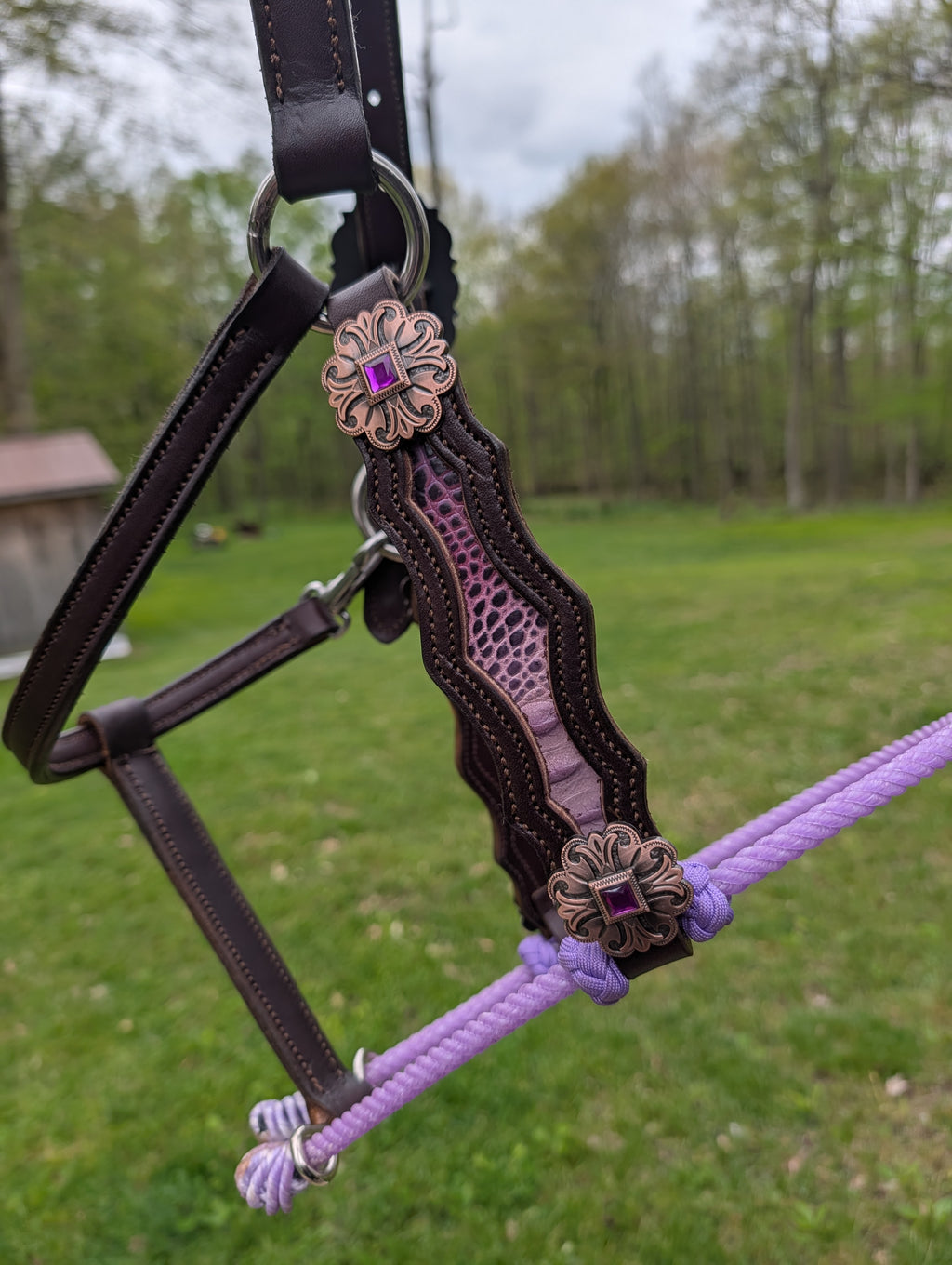 Hybrid halter average horse